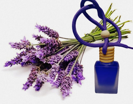 🪔 Hanging Car Perfume Pods Diffuser – Assorted Fragrance (Pack of 1) 🚗🌸